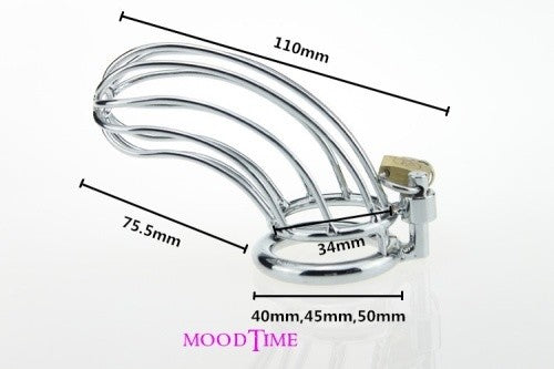 Stainless Steel Penis Ring Chastity Device