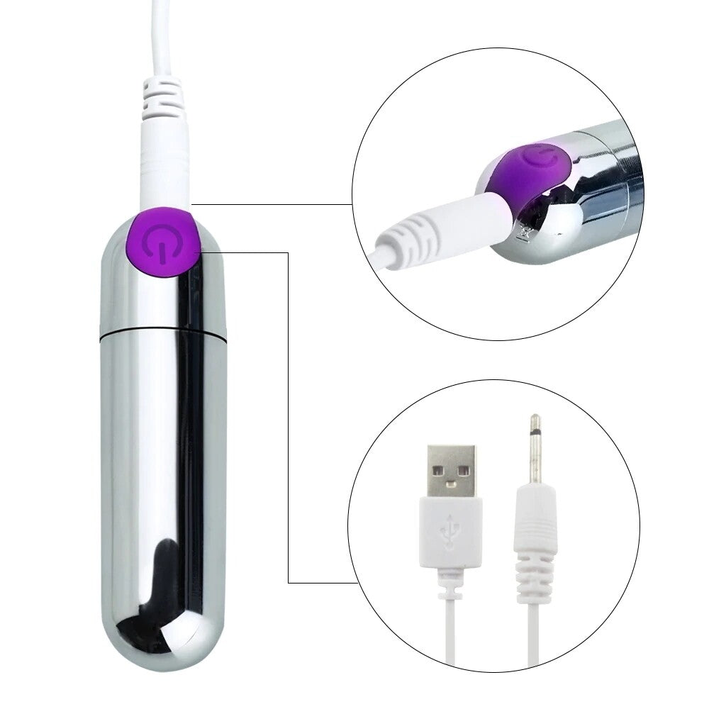 USB Charging 10 Speed Silver Vibrating Sex Bullet - Pleazure