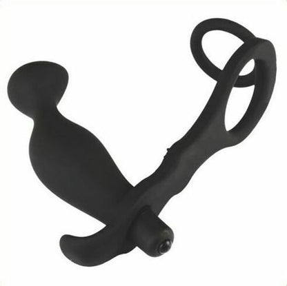 Cock Ring and Anal Prostate Massager Combo