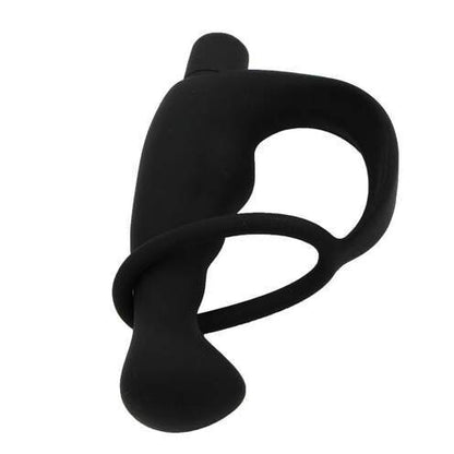 Cock Ring and Anal Prostate Massager Combo