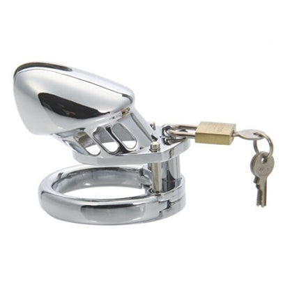 Insatiable Mister Metal Chastity Device