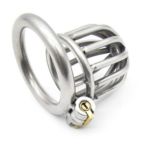 Asylum Male Chastity Stainless Steel Cage