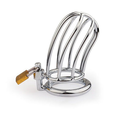 Stainless Steel Small Bird Chastity Cage